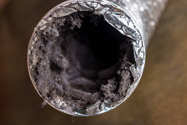 Best Affordable Duct Cleaning Services  in Carrboro, NC